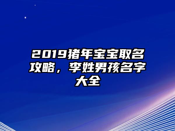 2019猪年宝宝取名攻略，李姓男孩名字大全