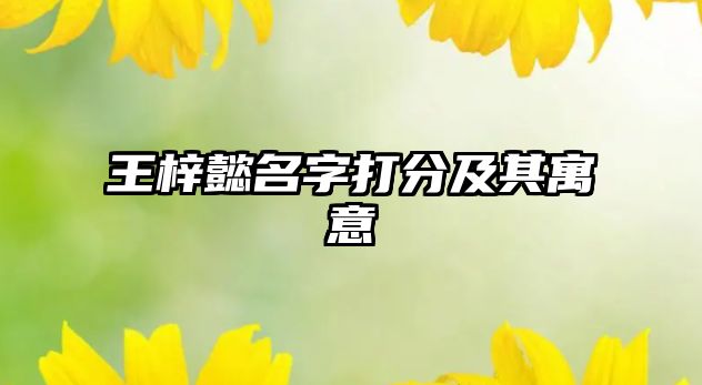 王梓懿名字打分及其寓意