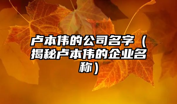 卢本伟的公司名字（揭秘卢本伟的企业名称）