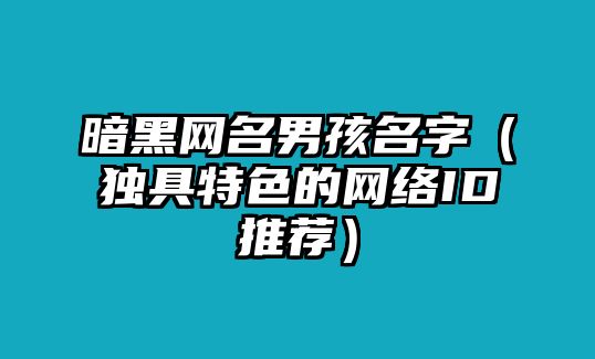 暗黑网名男孩名字（独具特色的网络ID推荐）