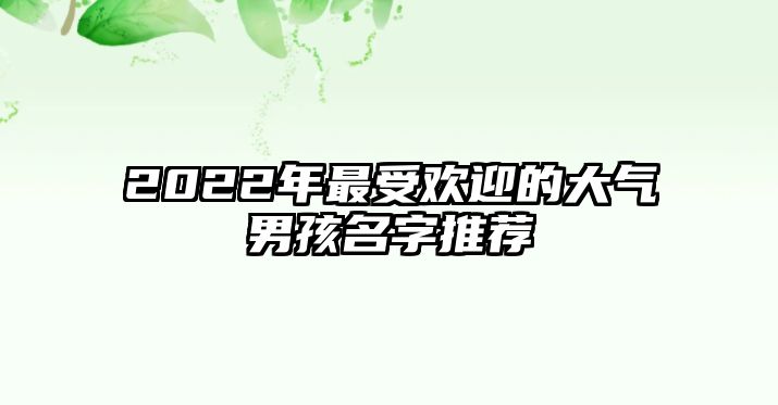 2022年最受欢迎的大气男孩名字推荐