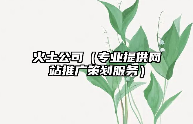 火土公司（专业提供网站推广策划服务）