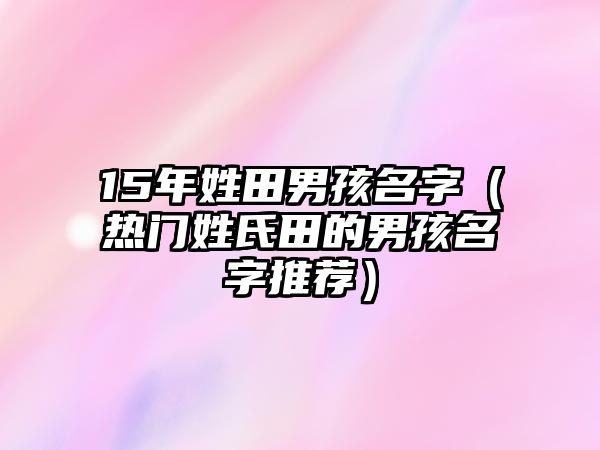 15年姓田男孩名字（热门姓氏田的男孩名字推荐）