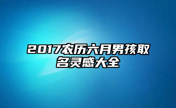 2017农历六月男孩取名灵感大全