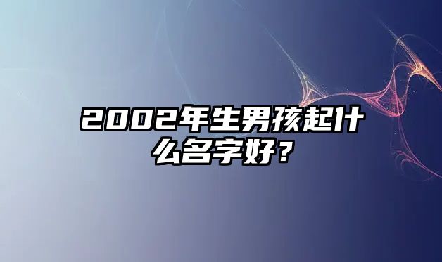 2002年生男孩起什么名字好？