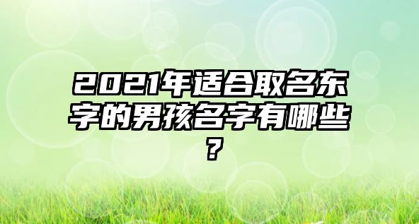 2021年适合取名东字的男孩名字有哪些？