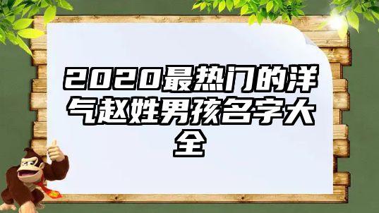 2020最热门的洋气赵姓男孩名字大全