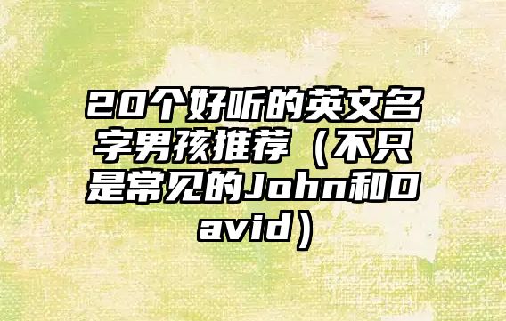 20个好听的英文名字男孩推荐（不只是常见的John和David）