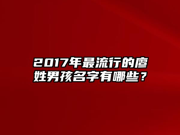 2017年最流行的廖姓男孩名字有哪些？