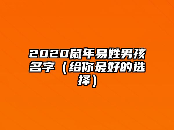 2020鼠年易姓男孩名字（给你最好的选择）