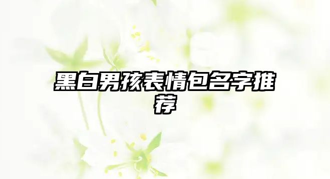 黑白男孩表情包名字推荐