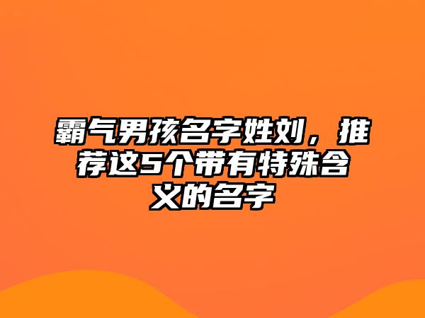 霸气男孩名字姓刘，推荐这5个带有特殊含义的名字