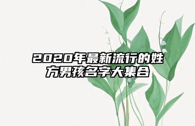 2020年最新流行的姓方男孩名字大集合