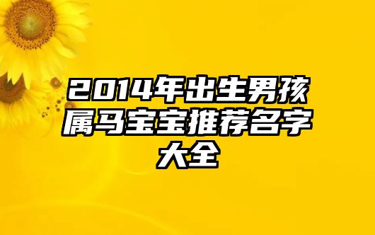 2014年出生男孩属马宝宝推荐名字大全