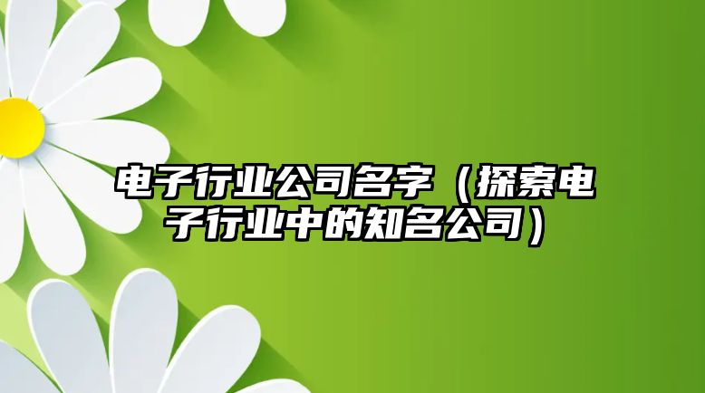 电子行业公司名字（探索电子行业中的知名公司）