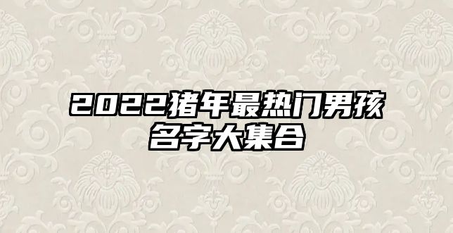 2022猪年最热门男孩名字大集合