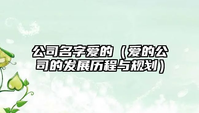 公司名字爱的（爱的公司的发展历程与规划）