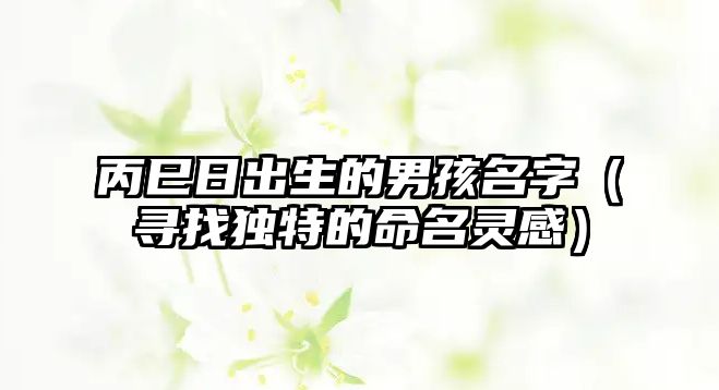 丙巳日出生的男孩名字（寻找独特的命名灵感）