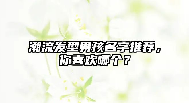 潮流发型男孩名字推荐，你喜欢哪个？