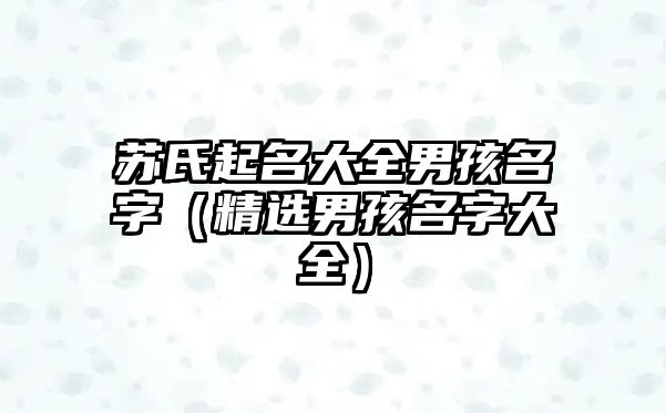 苏氏起名大全男孩名字（精选男孩名字大全）