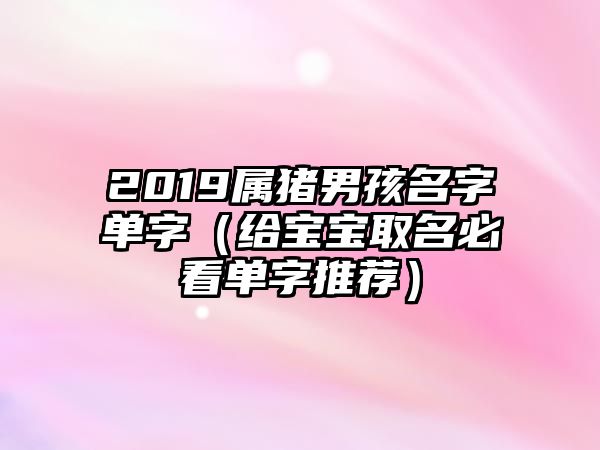 2019属猪男孩名字单字（给宝宝取名必看单字推荐）