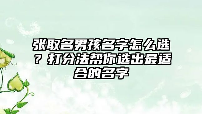 张取名男孩名字怎么选？打分法帮你选出最适合的名字