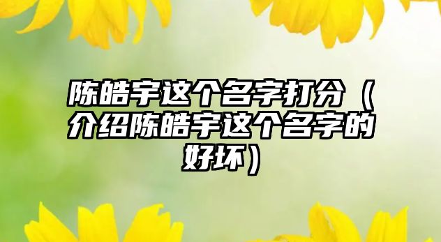 陈皓宇这个名字打分（介绍陈皓宇这个名字的好坏）