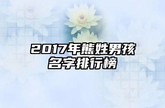 2017年熊姓男孩名字排行榜