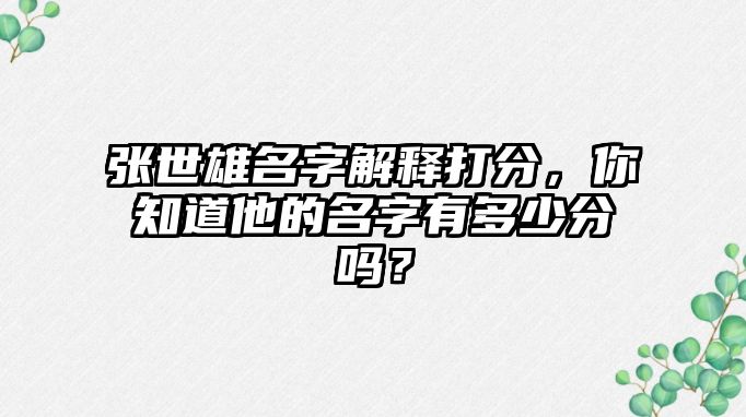 张世雄名字解释打分，你知道他的名字有多少分吗？