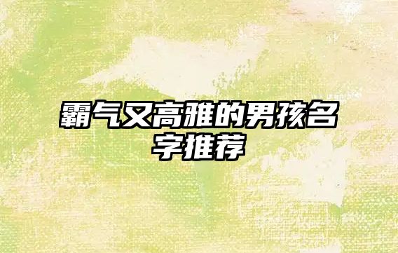 霸气又高雅的男孩名字推荐