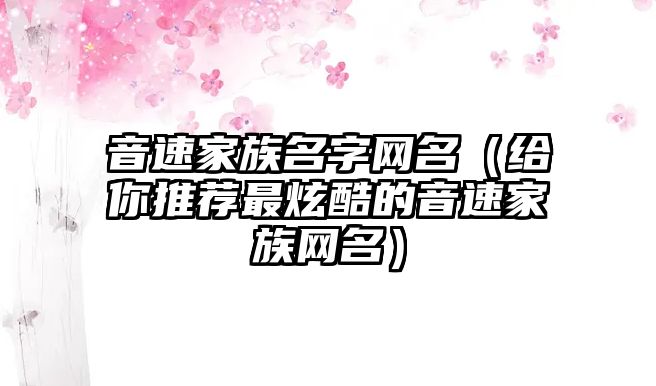 音速家族名字网名（给你推荐最炫酷的音速家族网名）