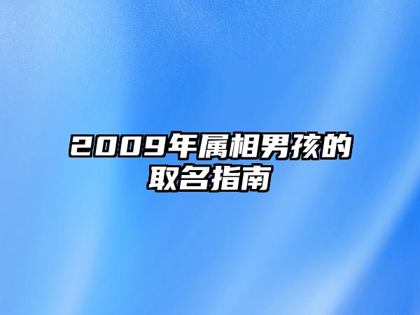 2009年属相男孩的取名指南