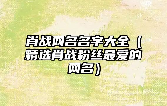 肖战网名名字大全（精选肖战粉丝最爱的网名）