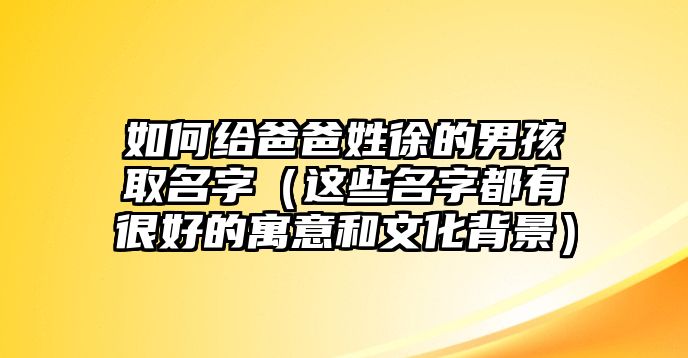 如何给爸爸姓徐的男孩取名字（这些名字都有很好的寓意和文化背景）