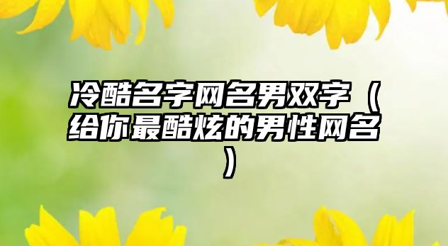 冷酷名字网名男双字（给你最酷炫的男性网名）