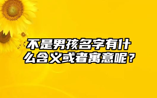 不是男孩名字有什么含义或者寓意呢？