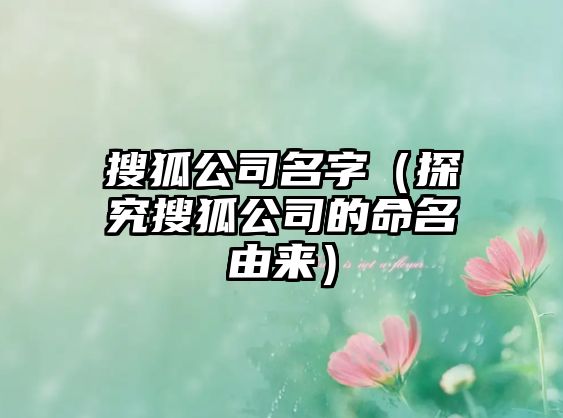 搜狐公司名字（探究搜狐公司的命名由来）