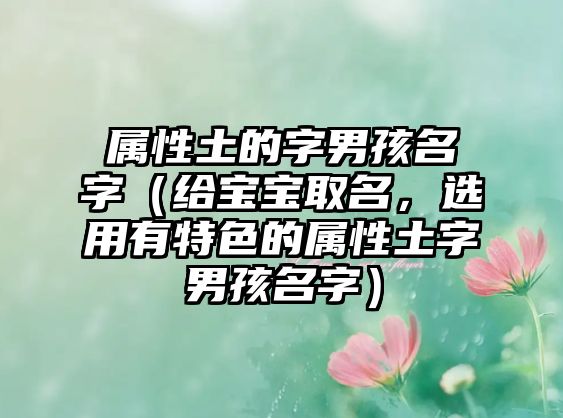 属性土的字男孩名字（给宝宝取名，选用有特色的属性土字男孩名字）