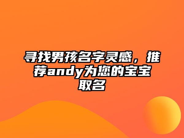 寻找男孩名字灵感，推荐andy为您的宝宝取名