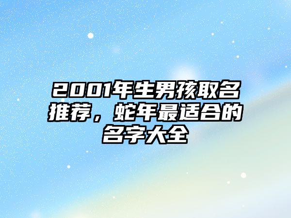 2001年生男孩取名推荐，蛇年最适合的名字大全