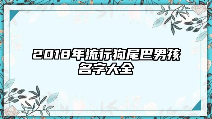 2018年流行狗尾巴男孩名字大全