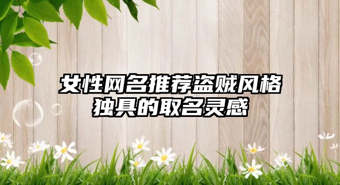 女性网名推荐盗贼风格独具的取名灵感