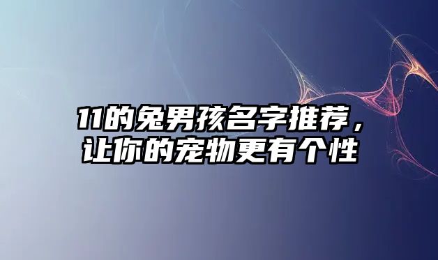 11的兔男孩名字推荐，让你的宠物更有个性