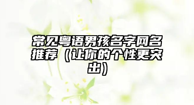 常见粤语男孩名字网名推荐（让你的个性更突出）