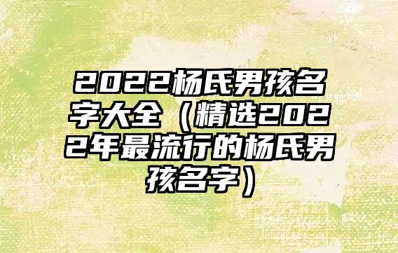 2022杨氏男孩名字大全（精选2022年最流行的杨氏男孩名字）