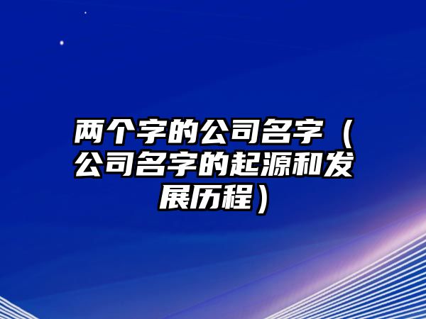 两个字的公司名字（公司名字的起源和发展历程）