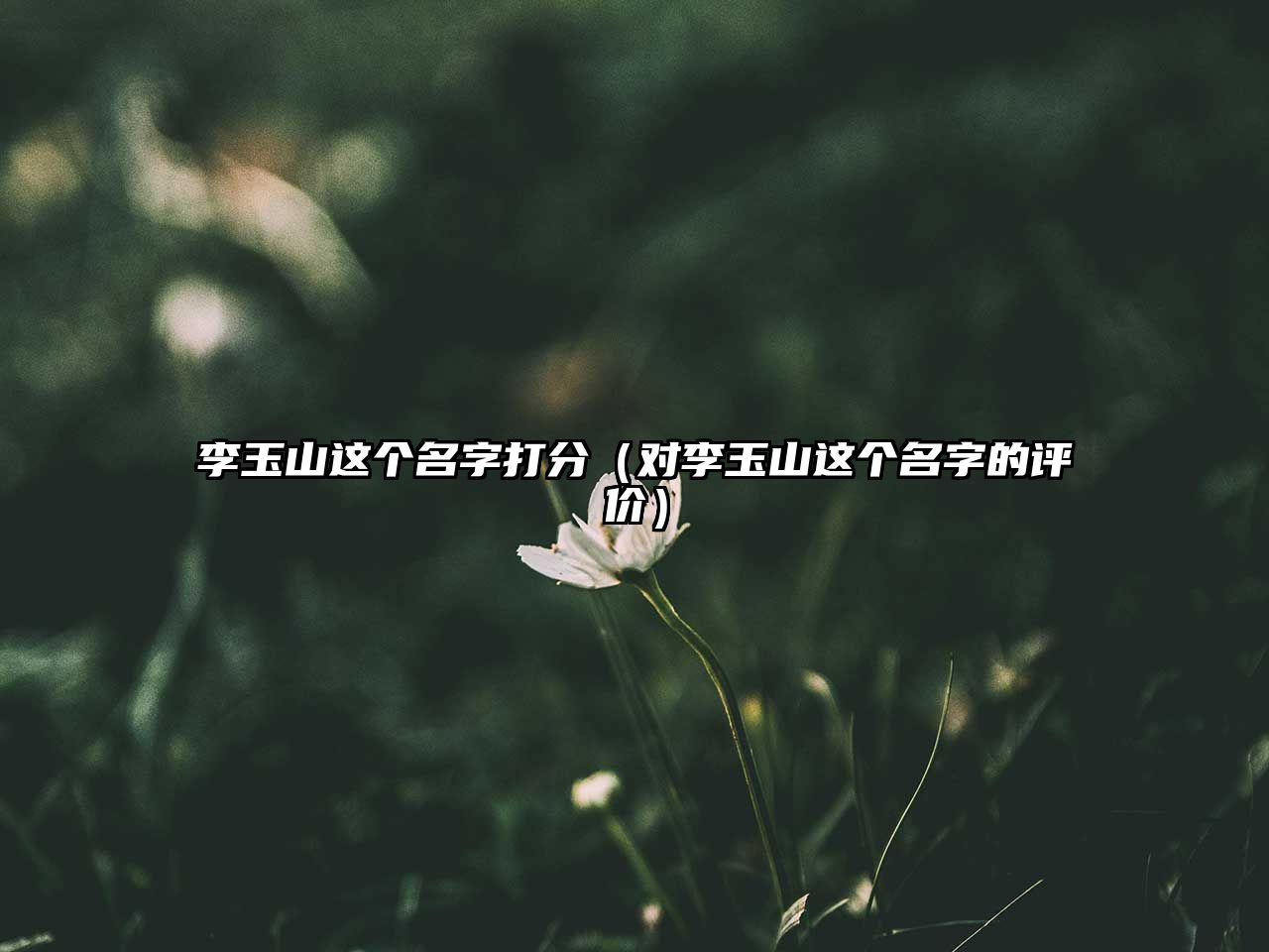 李玉山这个名字打分（对李玉山这个名字的评价）