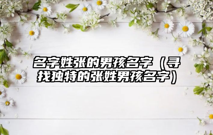 名字姓张的男孩名字（寻找独特的张姓男孩名字）