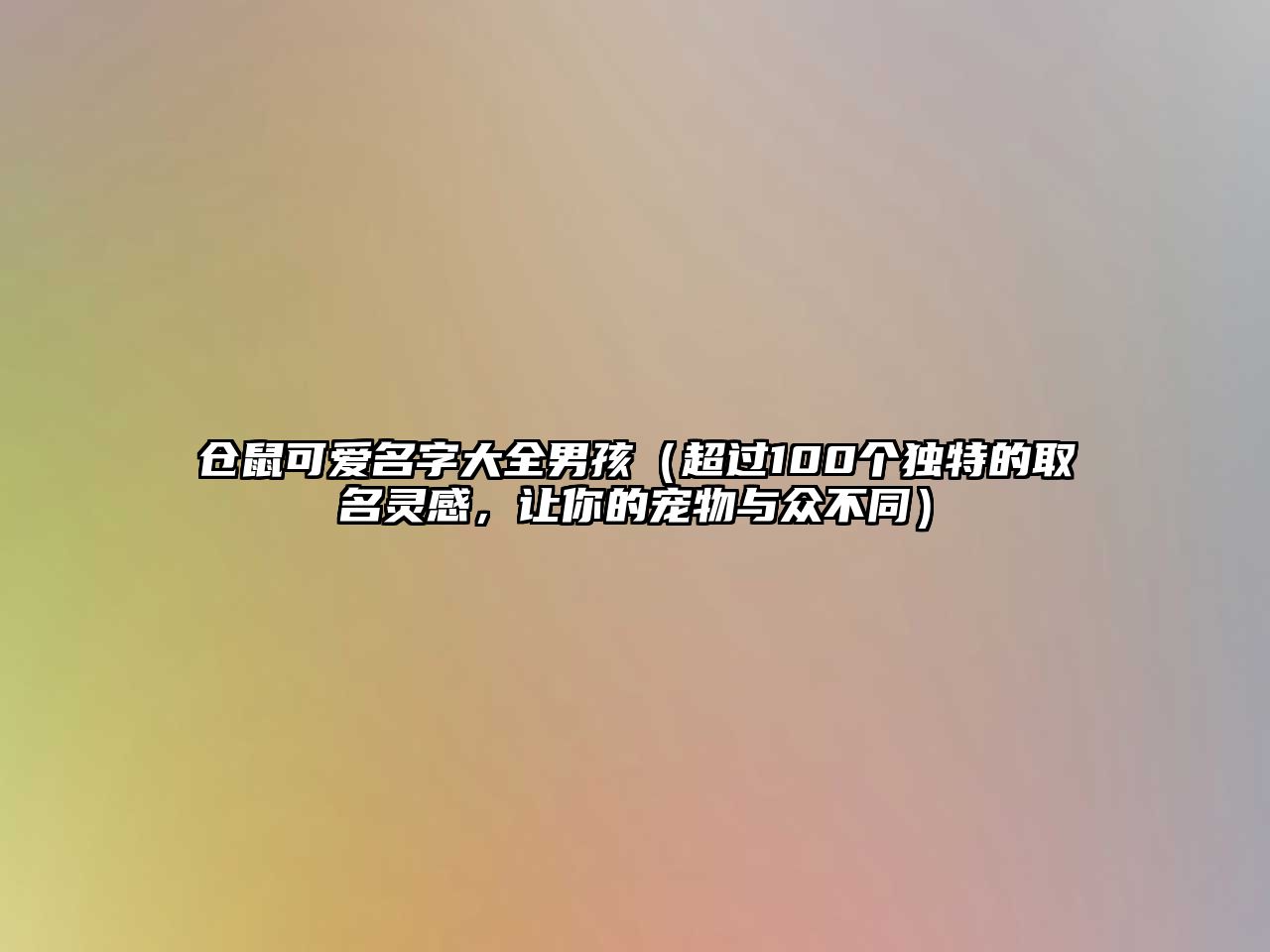 仓鼠可爱名字大全男孩（超过100个独特的取名灵感，让你的宠物与众不同）