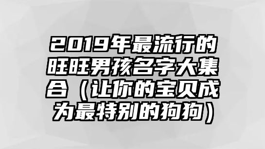 2019年最流行的旺旺男孩名字大集合（让你的宝贝成为最特别的狗狗）